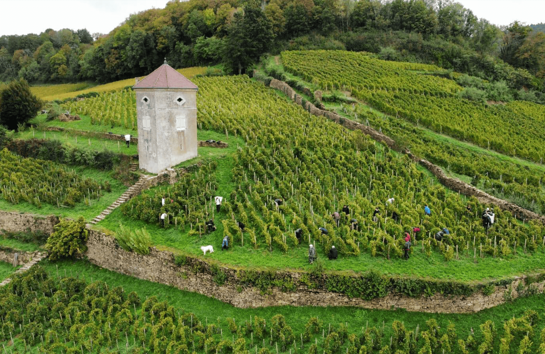 l’histoire du Domaine André et Mireille Tissot