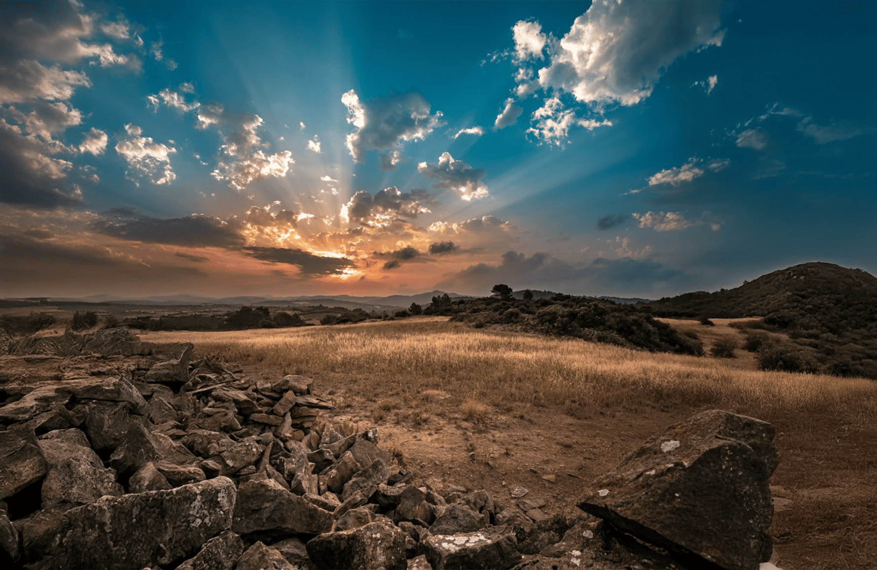 Wines Domaine Anne Gros and Jean-Paul Tollot