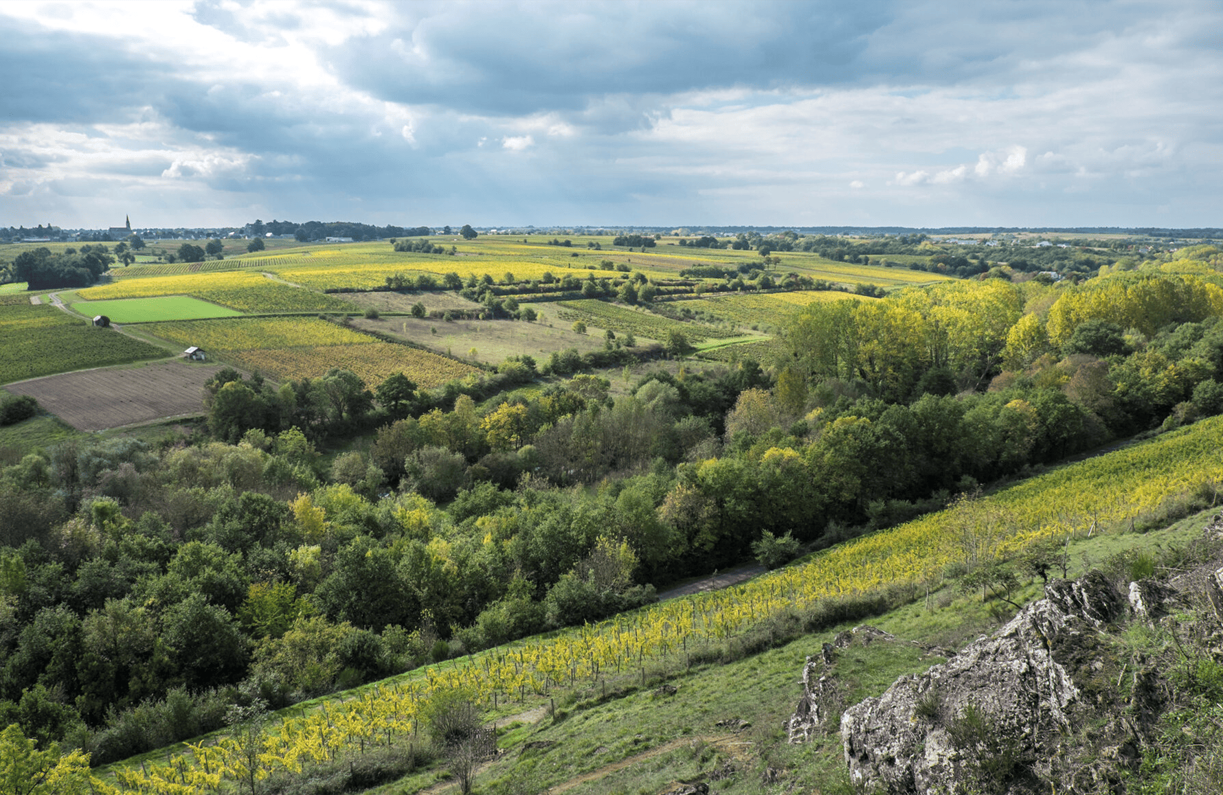 la storia di Domaine Bielorussia