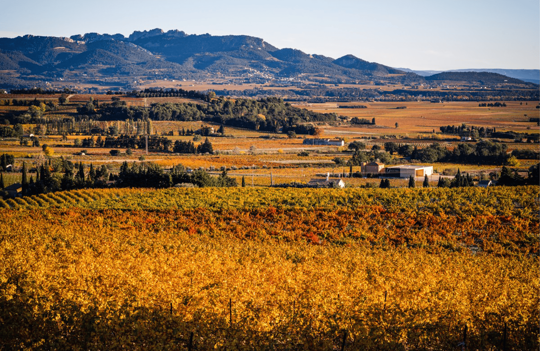 Vini Domaine bevanda