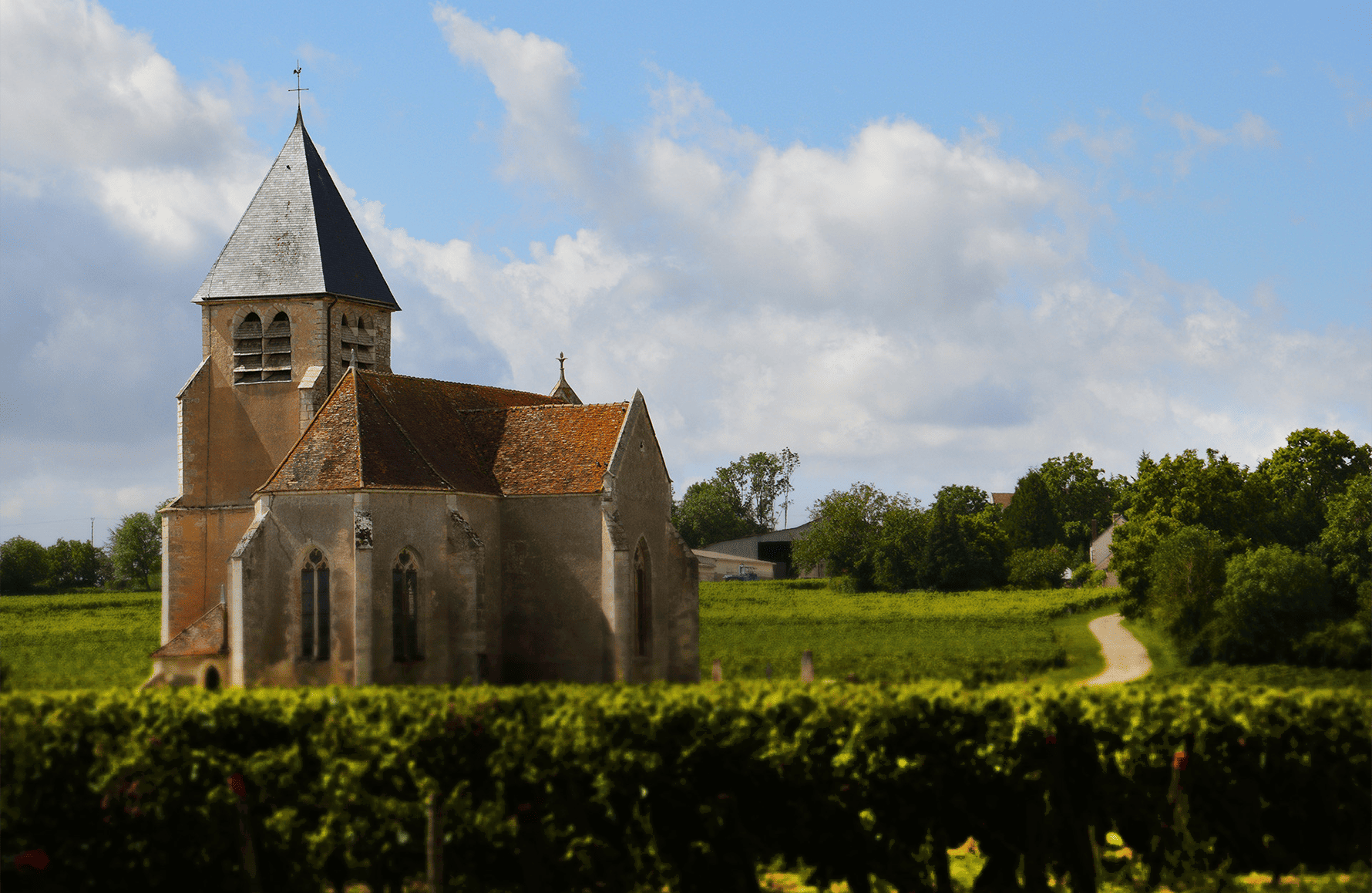 Vini Famiglia Brocard