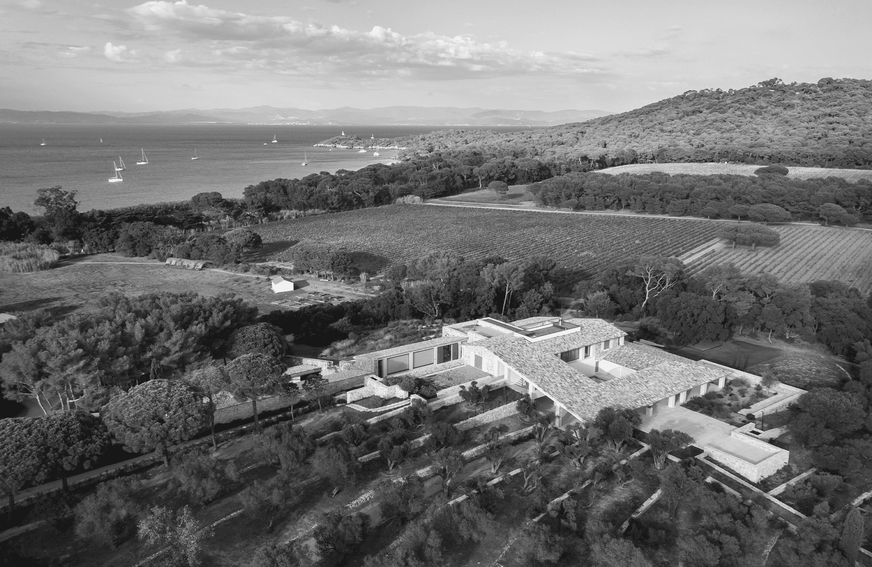 Vini Domaine De La Courtade