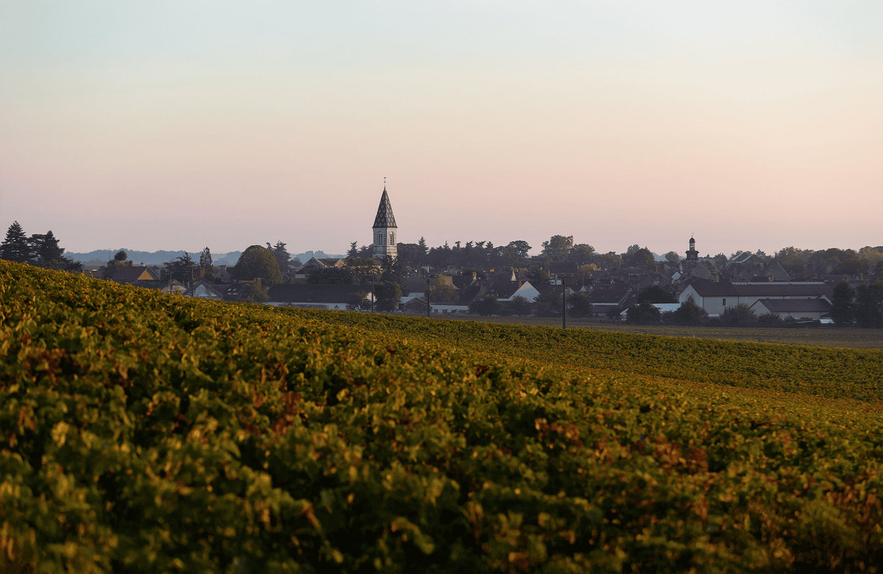 Wines Henri Gouges Estate