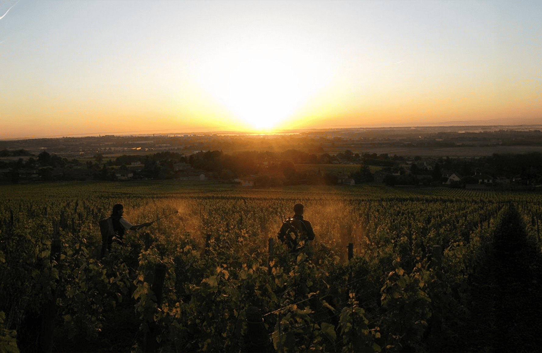 Wines Domaine La Soufrandière