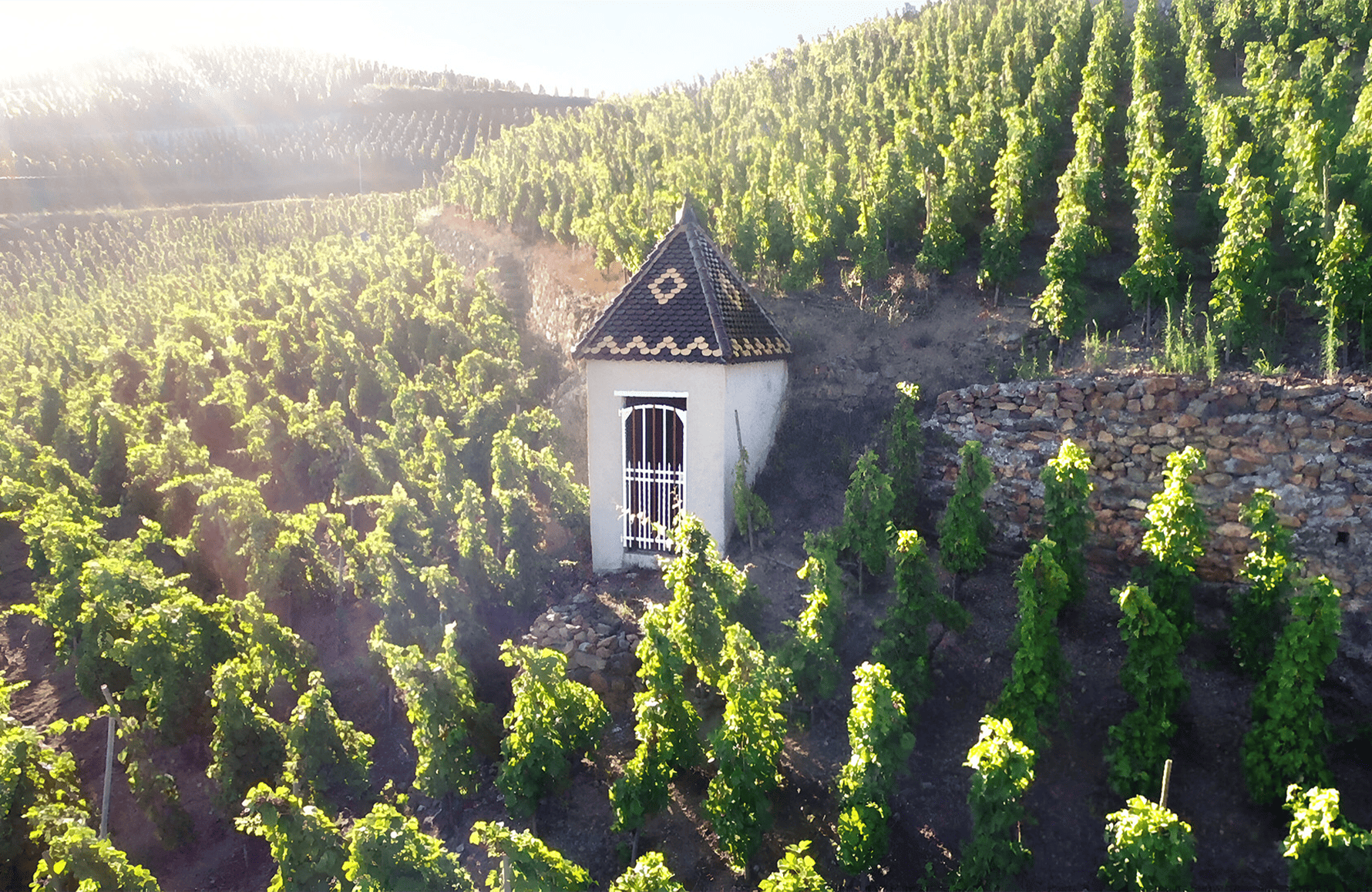 Wines Rostaing Estate