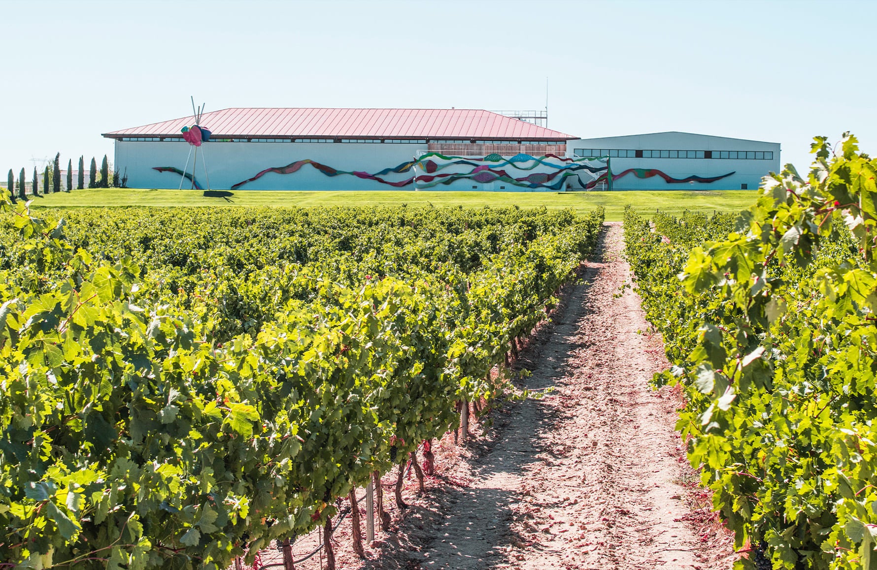 la storia di Dominio de Pingus - Spagna