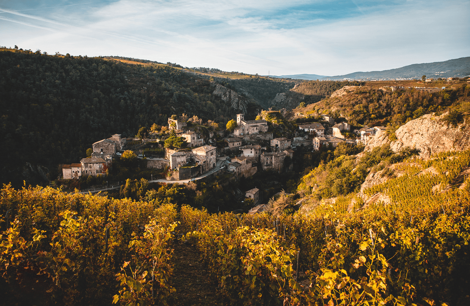 l’histoire du Domaine Pierre Gaillard