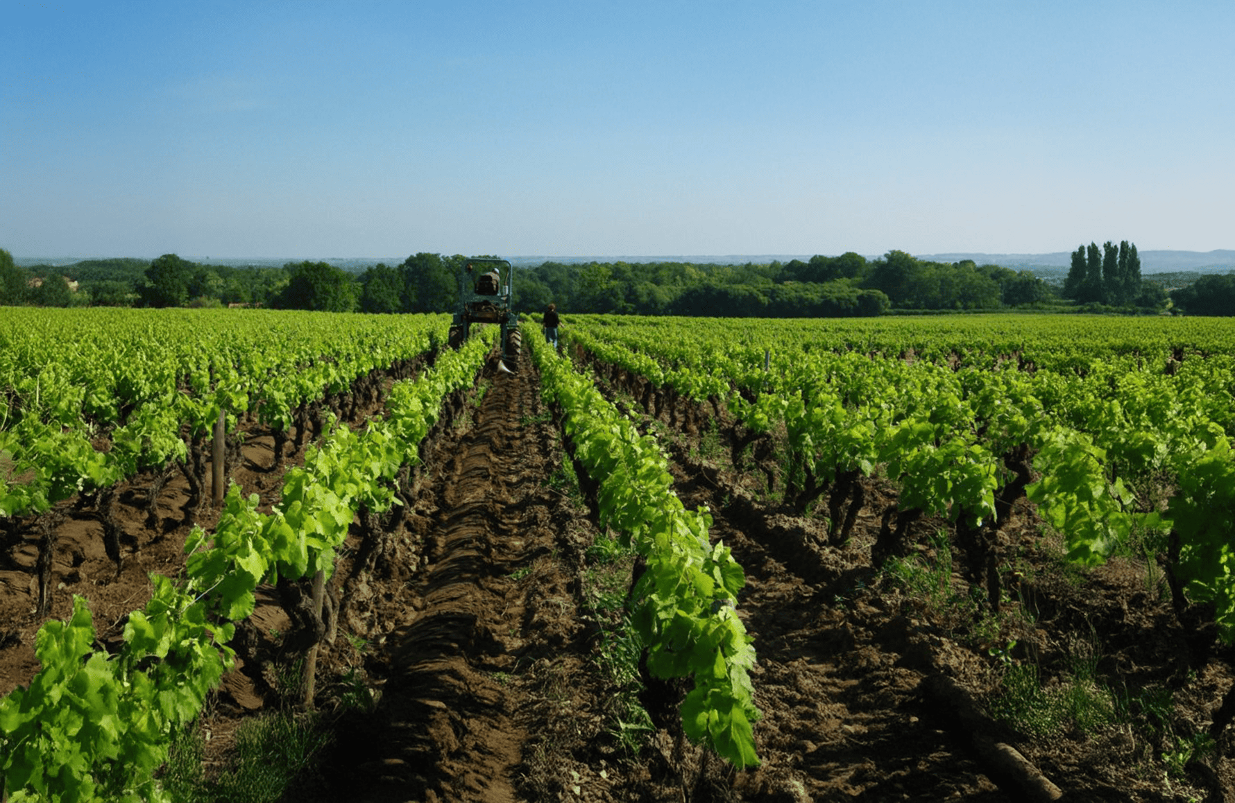 la storia di Domaine Jo Landron