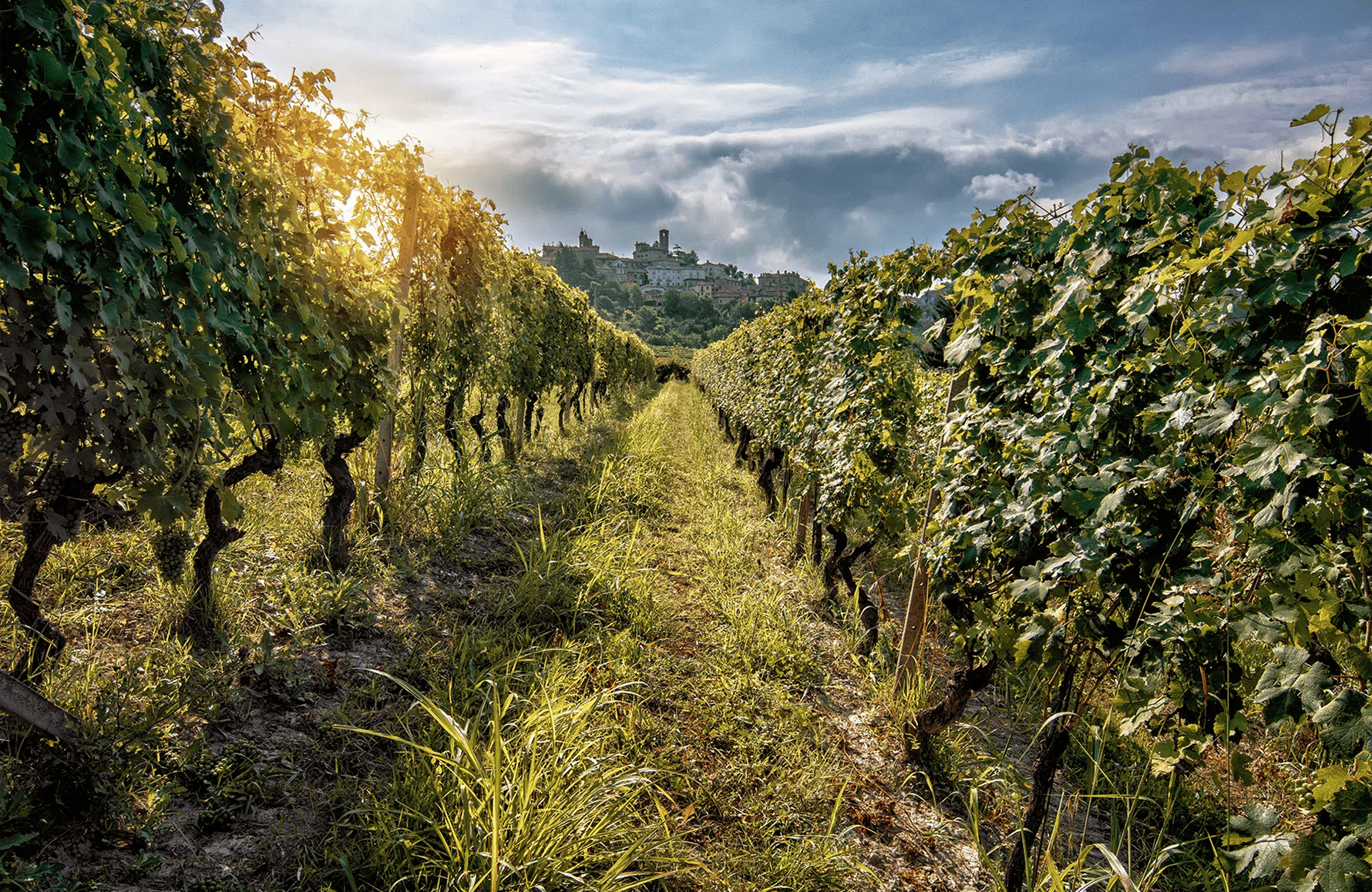 l’histoire du La Spinetta - Italie