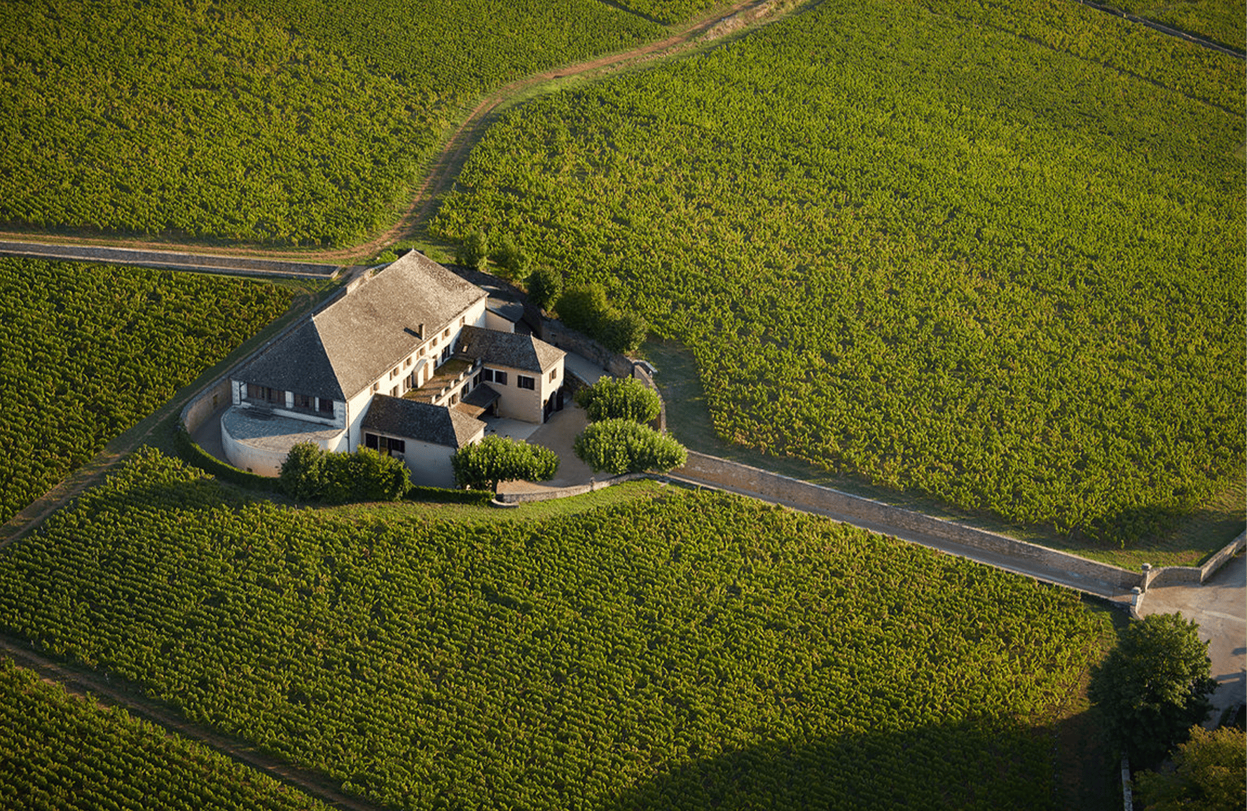 Vini Casa di Louis Latour