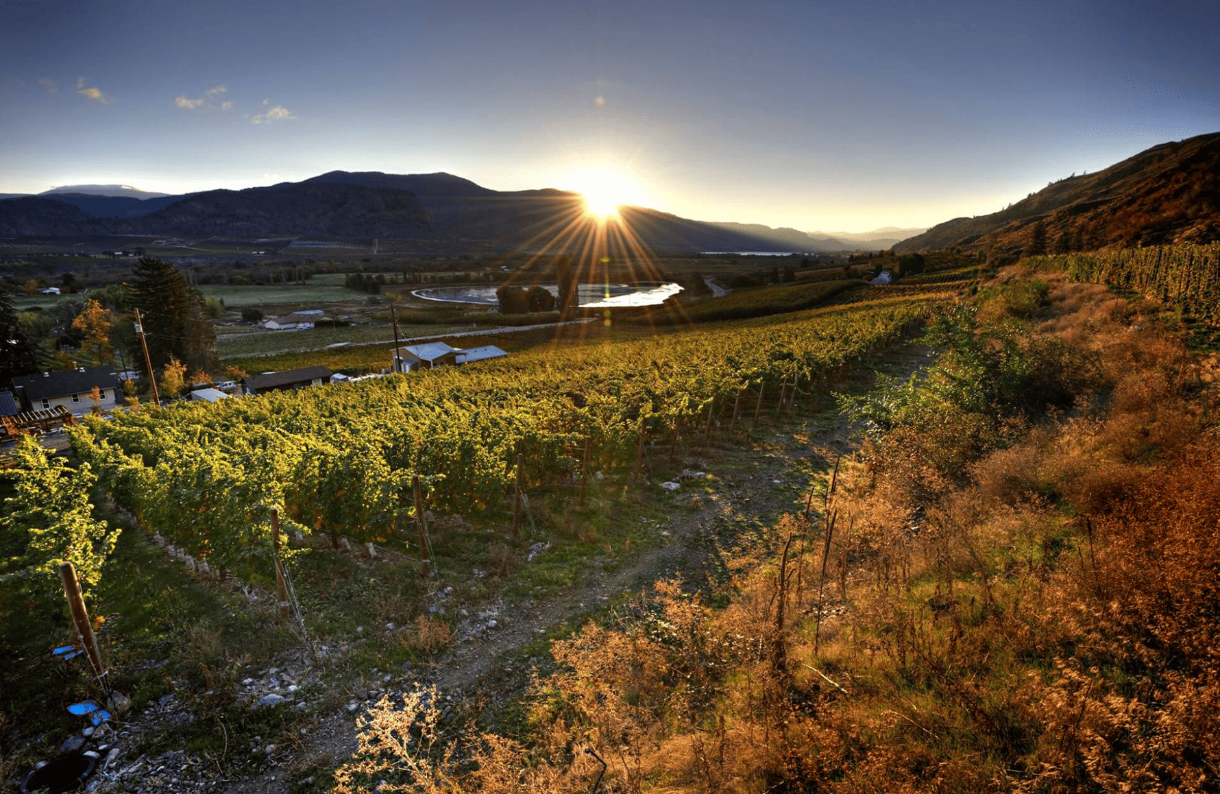 la storia di Maverick Wines - Australia