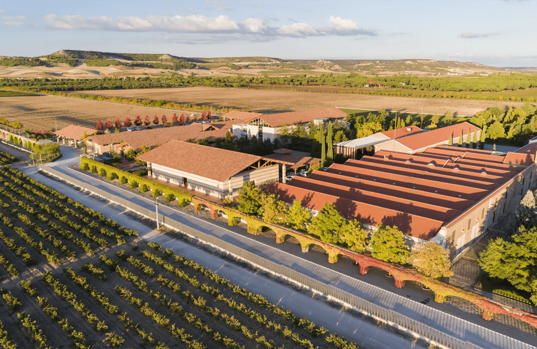 Vini Vega Sicilia - Spagna