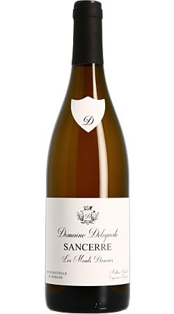 Domaine Vincent Delaporte et Fils - Les Monts Damnés 2021 - Sancerre