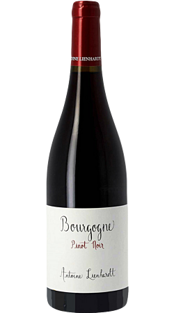 Domaine Antoine Lienhardt - Pinot Nero 2022 - Borgogna