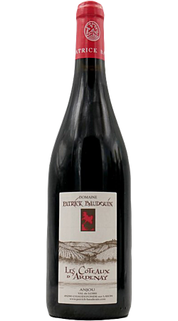 Domaine Patrick Baudouin - Les Coteaux d'Ardenay 2017 - Angiò